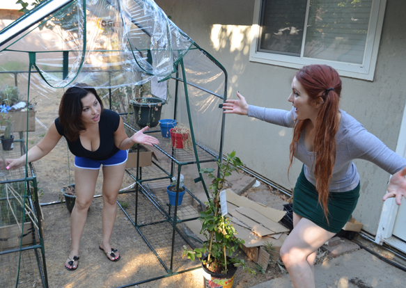 Does Lana Lopez really live in her mom's greenhouse?